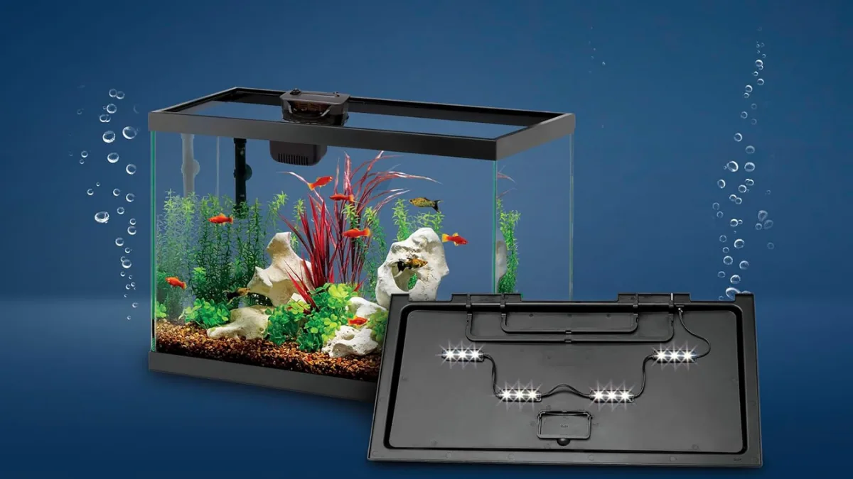 Aqueon Aquarium Starter Kit with SmartClean Filtration and LED Lighting: An Easy Way to Begin Fishkeeping