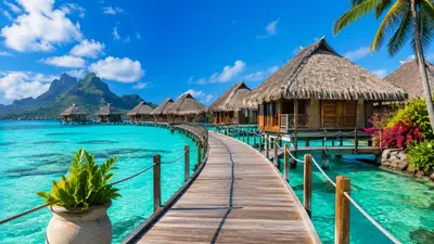 Travel